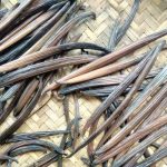 Vanili Kering, Dijual